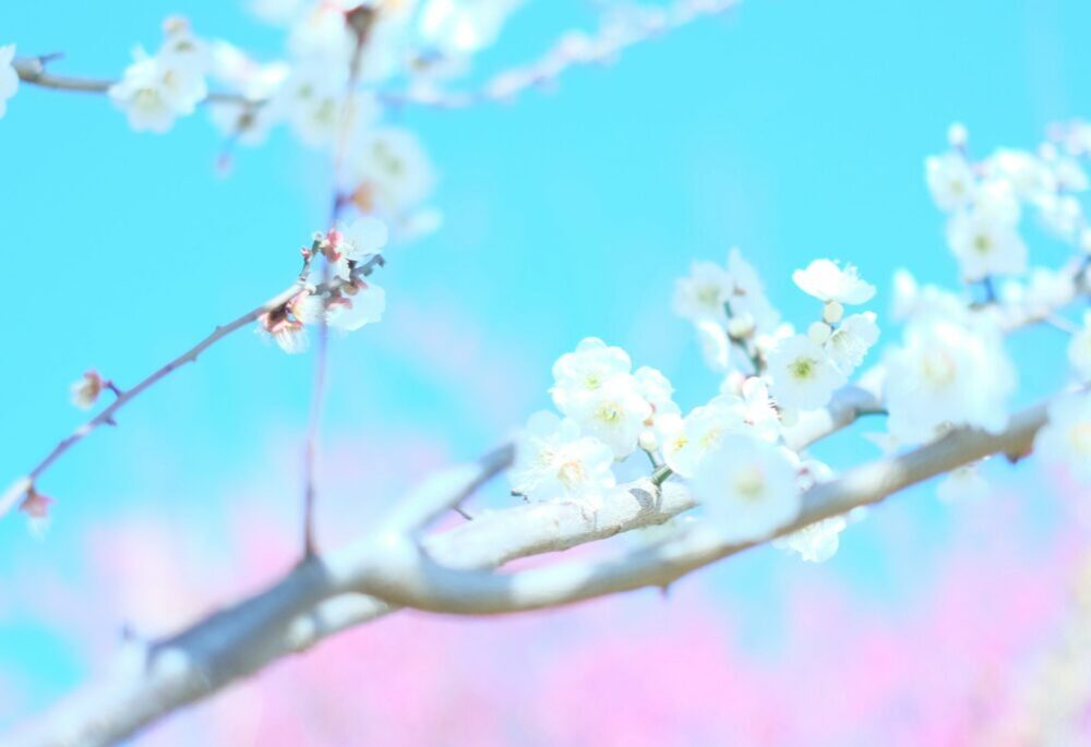 굿프렌즈 심리상담센터