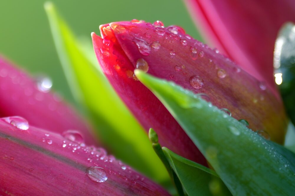 굿프렌즈 심리상담센터