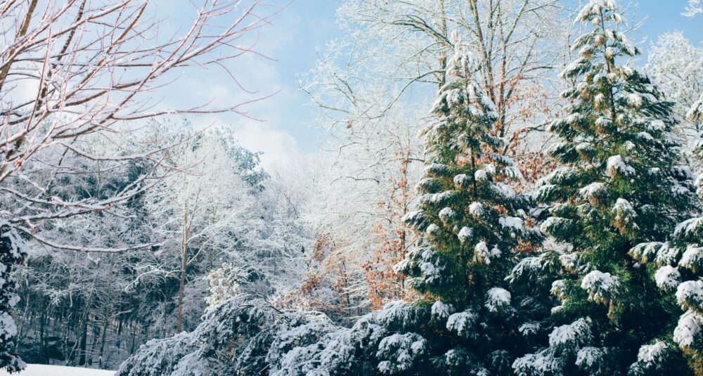 굿프렌즈 심리상담센터