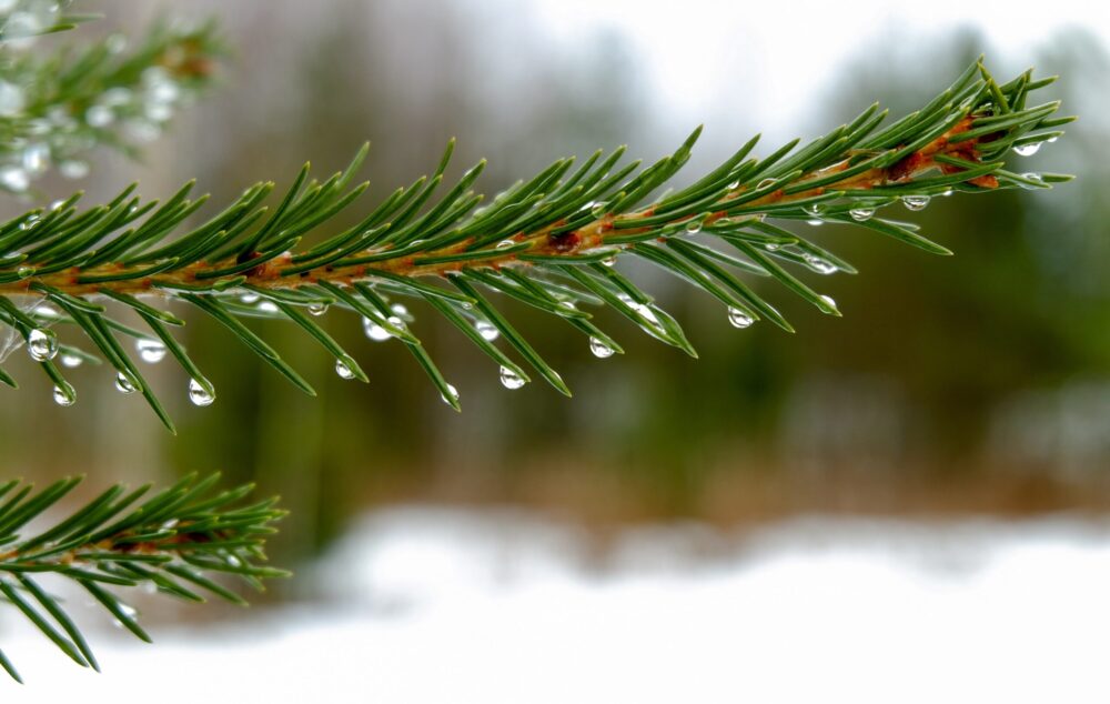 굿프렌즈 심리상담센터