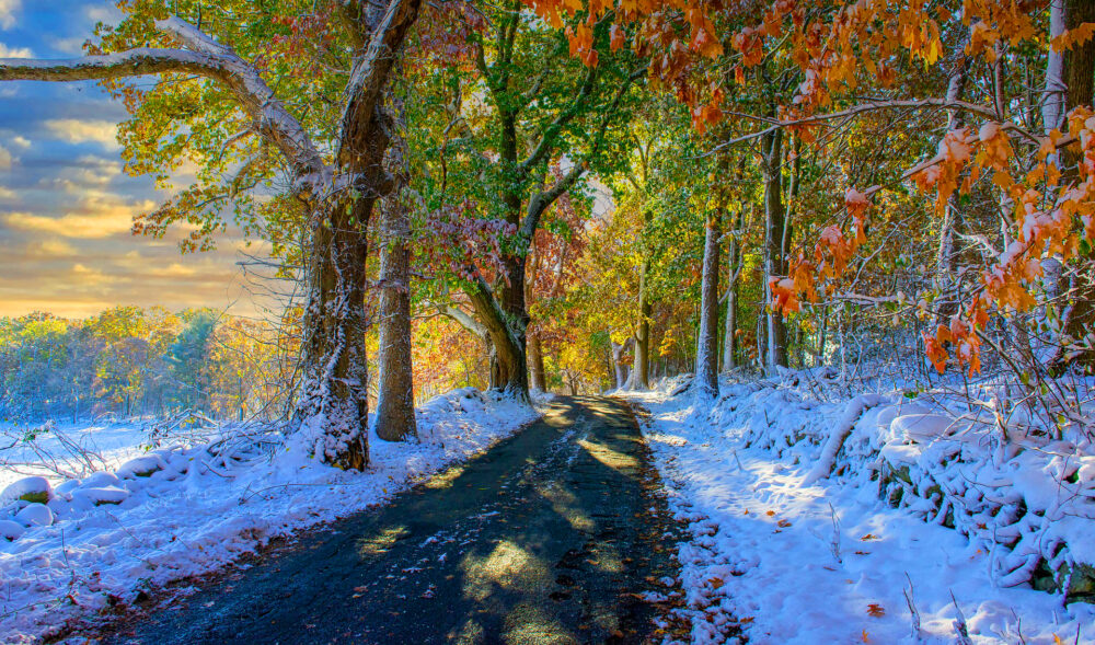 굿프렌즈 심리상담센터